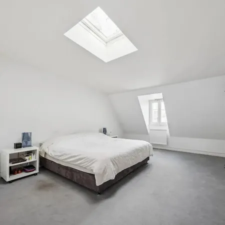 Apartment Pantheon Beast